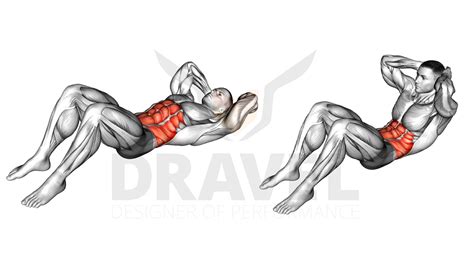 exercice abdo en anglais|[Étude] Les 8 meilleurs exercices abdos de tous les .